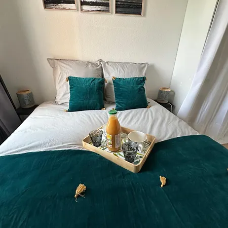 T2 Neuf- Balcon-vue Privilegiee Ocean - Sud Ouest Ле-Сабль-д’Олон